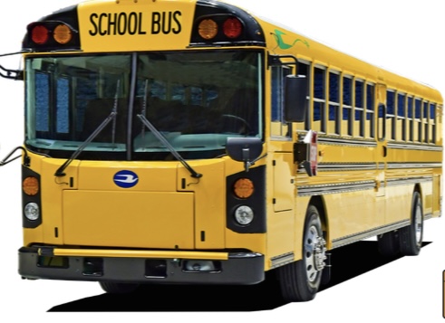 BLUE BIRD FLAT FRONT T3RE ALL AMERICAN reference image