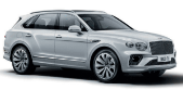 Bentley Overview Emergency Response Guide reference image